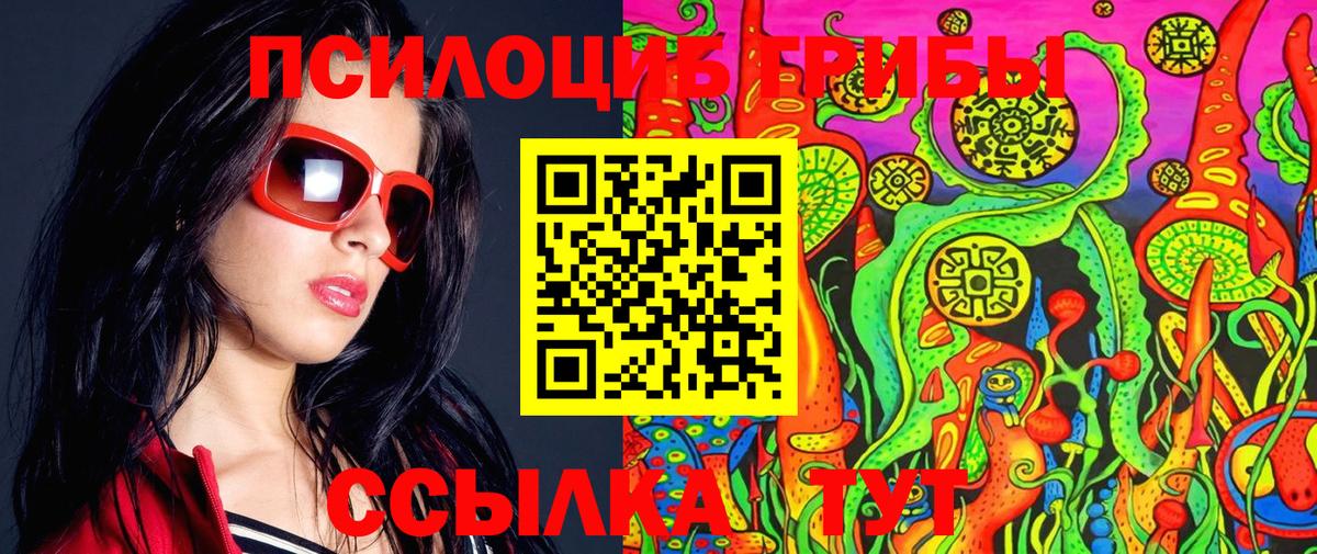 сколько стоит  Вход с VPN  Шали  Псилоцибиновые грибы мухоморы 
