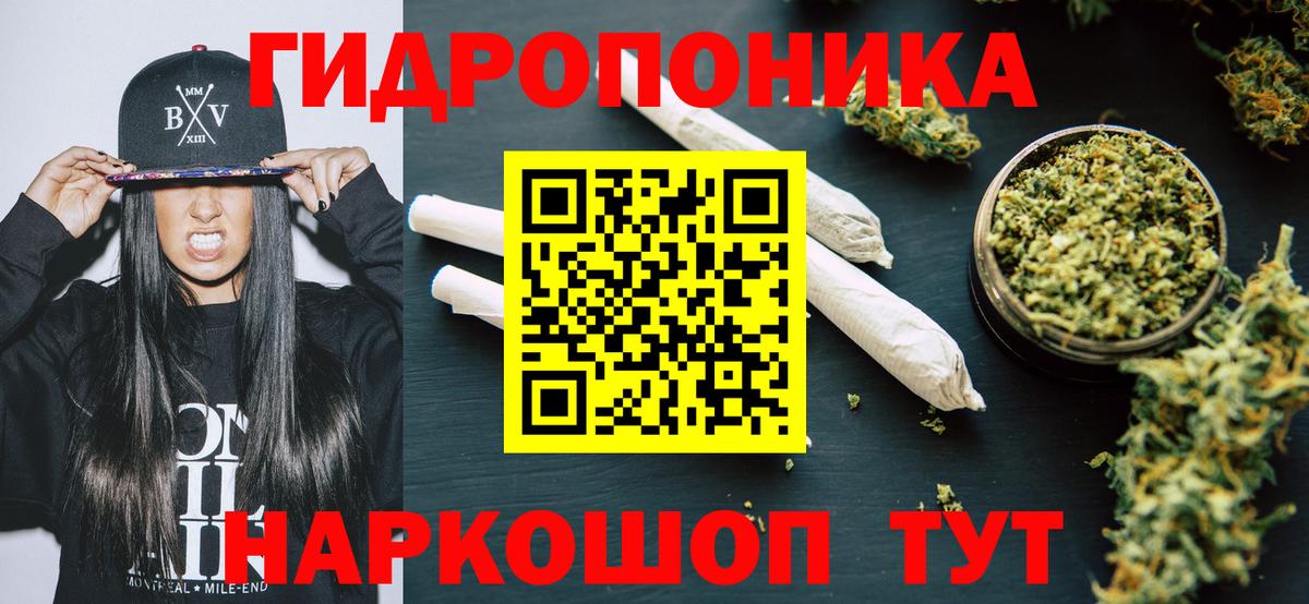 Бошки Шишки Amnesia  Вход с VPN  Каннабис сатива  Шали 